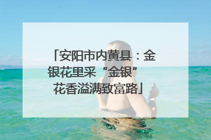 安阳市内黄县：金银花里采“金银” 花香溢满致富路