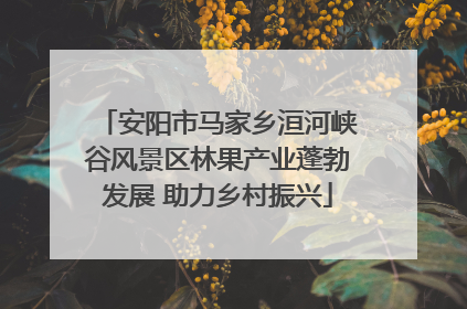 安阳市马家乡洹河峡谷风景区林果产业蓬勃发展 助力乡村振兴