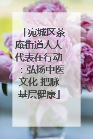 宛城区茶庵街道人大代表在行动：弘扬中医文化 把脉基层健康