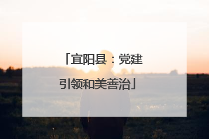 宜阳县：党建引领和美善治
