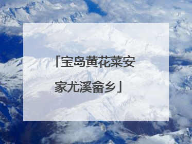 宝岛黄花菜安家尤溪畲乡