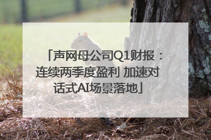 声网母公司Q1财报：连续两季度盈利 加速对话式AI场景落地