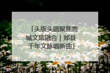 头版头题聚焦鹰城文旅融合｜郏县千年文脉唱新曲