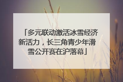 多元联动激活冰雪经济新活力，长三角青少年滑雪公开赛在沪落幕