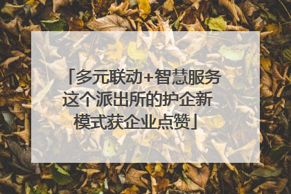 多元联动+智慧服务 这个派出所的护企新模式获企业点赞