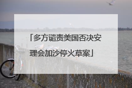 多方谴责美国否决安理会加沙停火草案