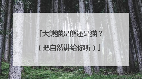 大熊猫是熊还是猫？（把自然讲给你听）