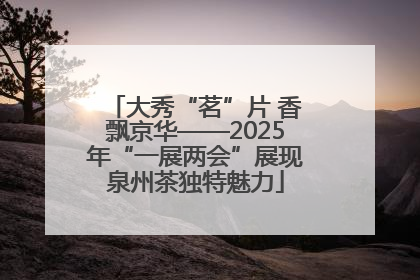 大秀“茗”片 香飘京华——2025年“一展两会”展现泉州茶独特魅力