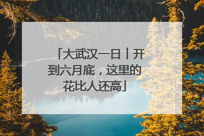 大武汉一日︱开到六月底，这里的花比人还高
