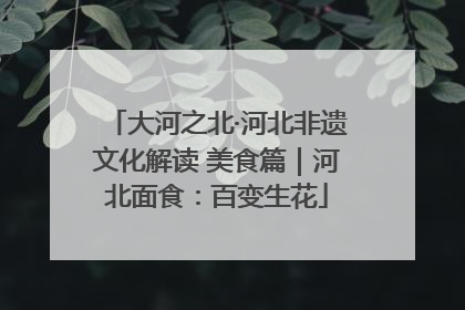 大河之北·河北非遗文化解读 美食篇｜河北面食：百变生花