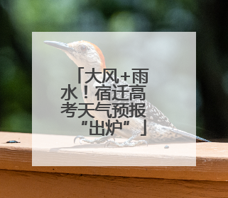 大风+雨水！宿迁高考天气预报“出炉”