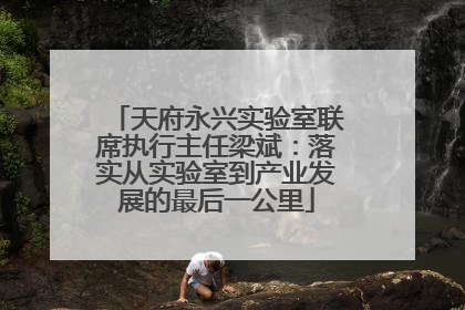 天府永兴实验室联席执行主任梁斌：落实从实验室到产业发展的最后一公里