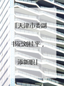 天津市委副书记刘桂平，添新职
