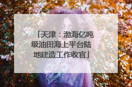 天津：渤海亿吨级油田海上平台陆地建造工作收官