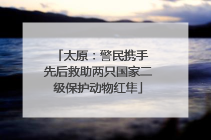 太原：警民携手 先后救助两只国家二级保护动物红隼
