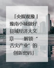 央媒观豫丨豫南小城做好县域经济大文章——解锁“舌尖产业”的创新密码