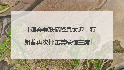 嫌弃美联储降息太迟，特朗普再次抨击美联储主席