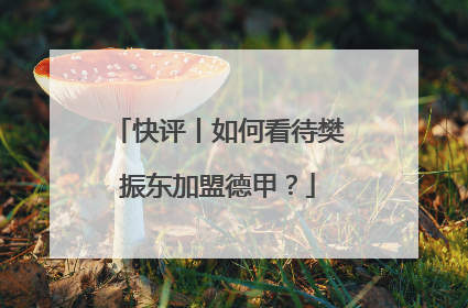 快评丨如何看待樊振东加盟德甲？