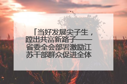 当好发展尖子生，蹚出共富新路子——省委全会部署激励江苏干部群众促进全体人民共同富裕