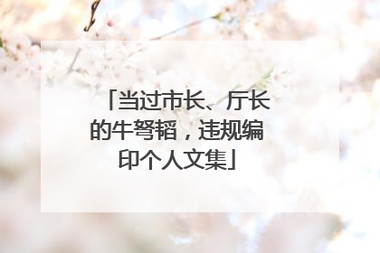 当过市长、厅长的牛弩韬，违规编印个人文集