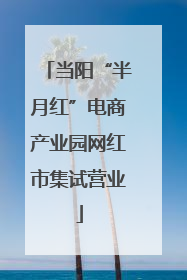 当阳“半月红”电商产业园网红市集试营业