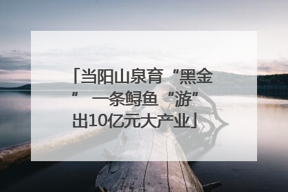 当阳山泉育“黑金” 一条鲟鱼“游”出10亿元大产业