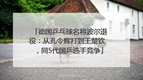 德国乒乓球名将波尔退役：从孔令辉打到王楚钦，同5代国乒选手竞争