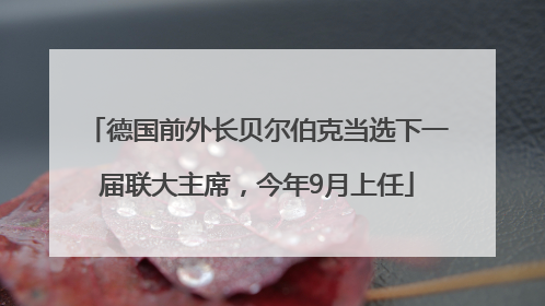 德国前外长贝尔伯克当选下一届联大主席，今年9月上任