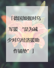 德国加强对乌军援 “是为减少对乌经济援助作铺垫”