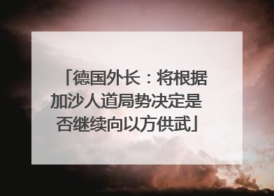 德国外长：将根据加沙人道局势决定是否继续向以方供武