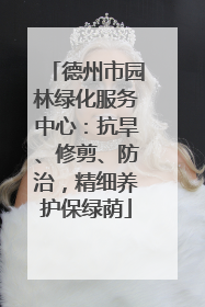 德州市园林绿化服务中心：抗旱、修剪、防治，精细养护保绿荫