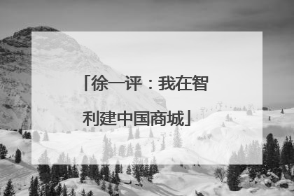 徐一评：我在智利建中国商城