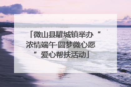 微山县驩城镇举办“浓情端午·圆梦微心愿”爱心帮扶活动