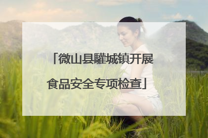 微山县驩城镇开展食品安全专项检查