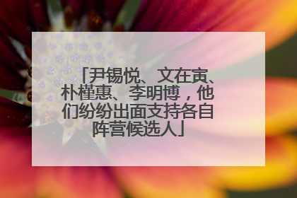 尹锡悦、文在寅、朴槿惠、李明博，他们纷纷出面支持各自阵营候选人