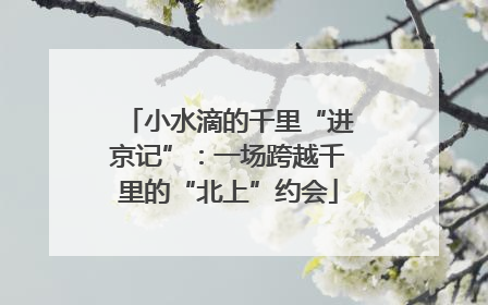 小水滴的千里“进京记”：一场跨越千里的“北上”约会
