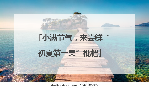 小满节气，来尝鲜“初夏第一果”枇杷