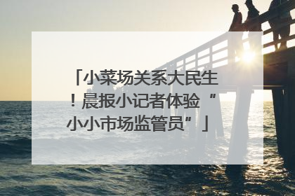 小菜场关系大民生！晨报小记者体验“小小市场监管员”