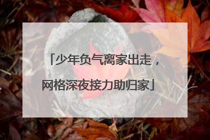 少年负气离家出走，网格深夜接力助归家