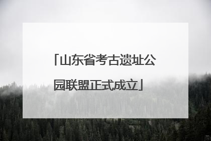 山东省考古遗址公园联盟正式成立