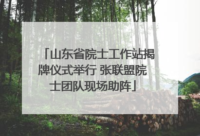 山东省院士工作站揭牌仪式举行 张联盟院士团队现场助阵