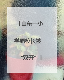 山东一小学原校长被“双开”