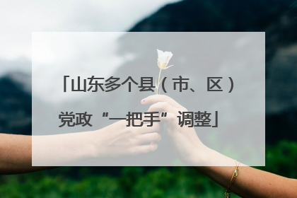 山东多个县（市、区）党政“一把手”调整