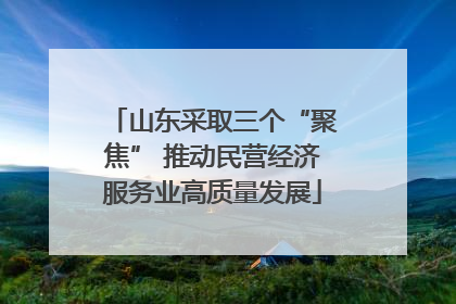 山东采取三个“聚焦” 推动民营经济服务业高质量发展