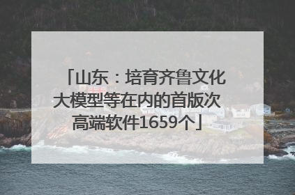 山东：培育齐鲁文化大模型等在内的首版次高端软件1659个