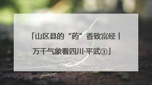山区县的“药”香致富经丨万千气象看四川·平武③