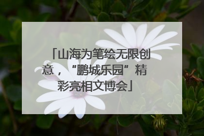 山海为笔绘无限创意，“鹏城乐园”精彩亮相文博会