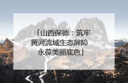 山西保德：筑牢黄河流域生态屏障 永葆美丽底色