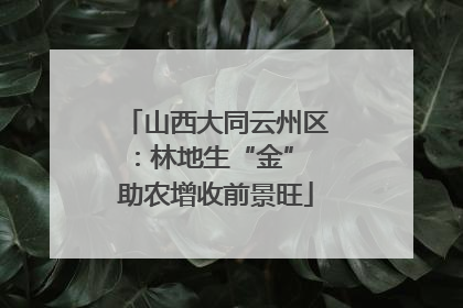 山西大同云州区：林地生“金” 助农增收前景旺