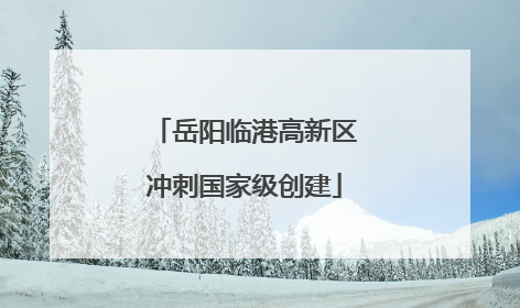 岳阳临港高新区冲刺国家级创建
